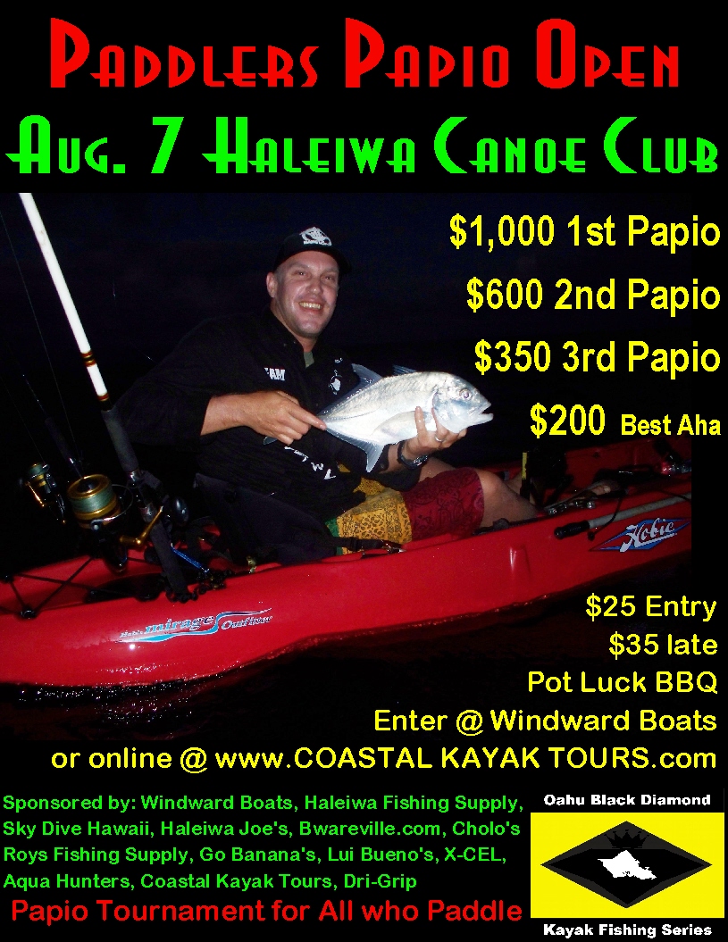 2010 ppo flier final